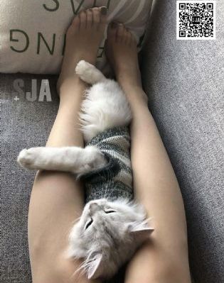 女朋友的味道2_BD高清电影在线
