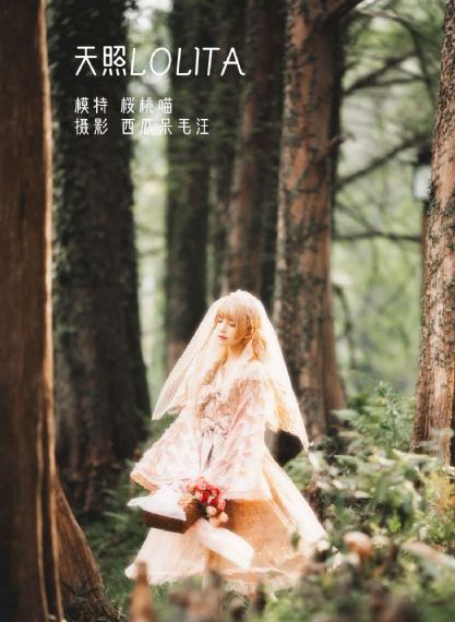 新世界在线_1080最新电影在线观看