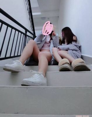 蔷薇风暴电视剧在线观看高清播放_BD国语在线观看高清